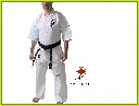 Kyokushin Karate Ichigeki Professional Uniform Gi